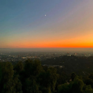 暮色里的橘色奔赴