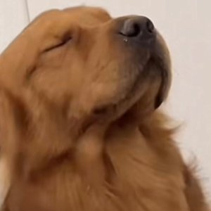 听见有人叫你宝贝