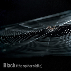Black (The Spider's Bite)