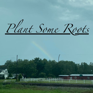 Plant Some Roots