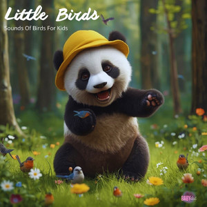 Bath Time for the Birds