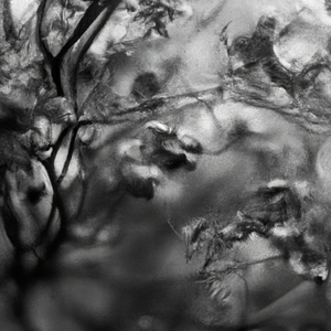 Fading Black & White