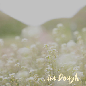 어제를 간직한 히아신스