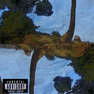 NO SHADE (feat. 818 SUKI, ARTIS JEFE & AURA BLUU)