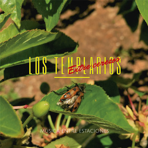 Amiga Criminal (En Vivo)