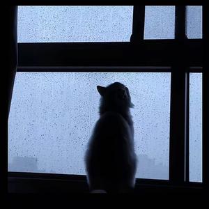 富士山下 (DJ版)