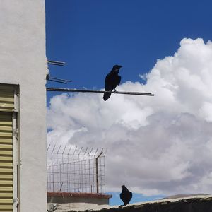 光点(prodby.KAM!SAMA.Bvlloon)