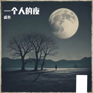 一个人的夜