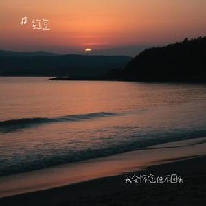 我会怀念但不回头 (Cover 周深深)