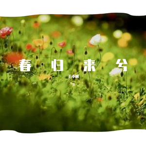 春归来兮