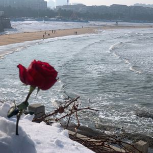 关于我想说的话