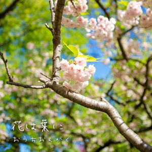 花は葉に