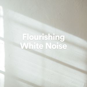White Noise Adulatory