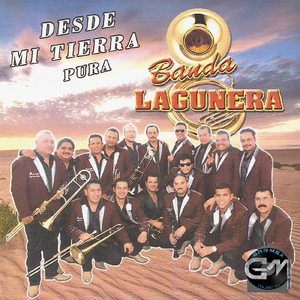 Pavido Navido