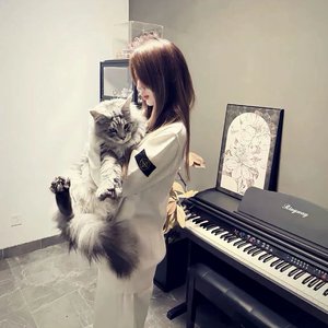 十二生肖《DJ》