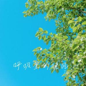 呼吸里的晚风