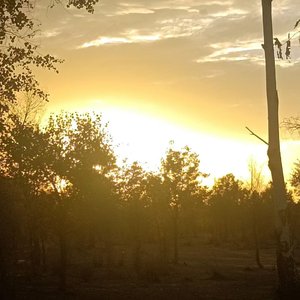 祝你我都有转身离开的勇气