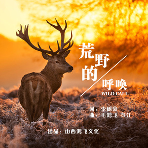 荒野的呼唤