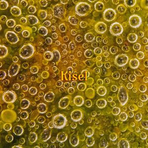 kisel