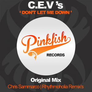 Don't Let Me Down (Rhythmoholia Remix)