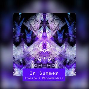 In Summer (with Rhododendria) (Radio Edit)