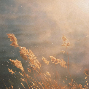 Epic Orchestral Opener