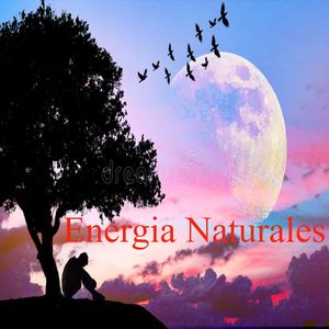 Energía Naturales