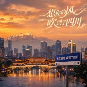 想你的风吹到了巴中