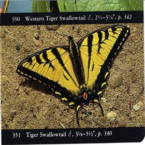 Sippin' 9 (lofi) (Instrumental) (Instrumental)