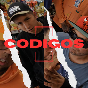 Codigos