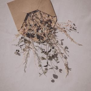 고운 눈빛
