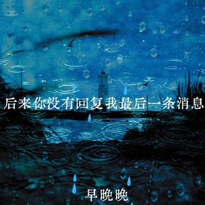 后来你没有回复我最后一条消息
