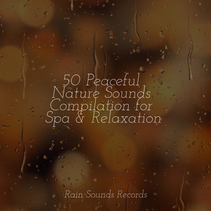 Swift Current Dreams