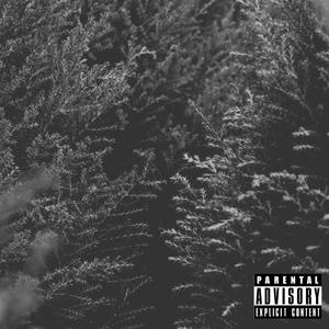 CYPRESS