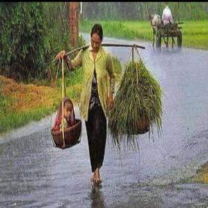 หลงรักไปแล้ว