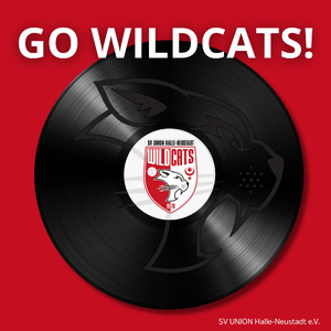 Go Wildcats