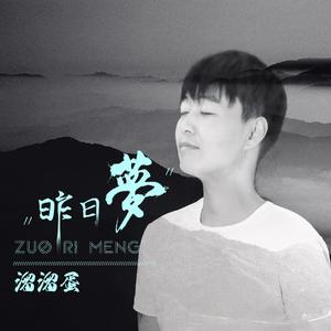 昨日梦 (DJ阳少版)