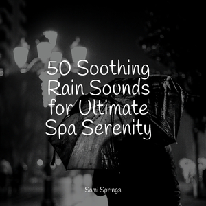 Winter Rainforest Avifauna