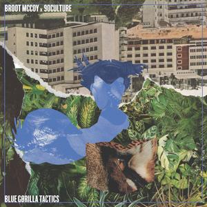 Plan of Attack (feat. Devin Malek)