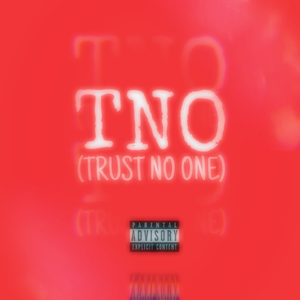 TNO