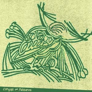 Corujas ≠ Pássaros