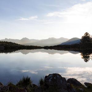 情非得已 (R&B版)