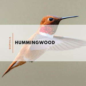 Hummingwood