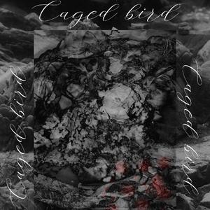 笼中鸟(prod. sorrow bringer)