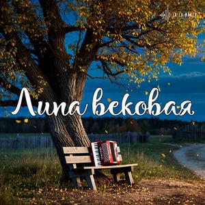 Липа вековая