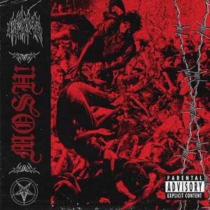 Mosh