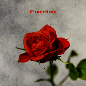 Patriot