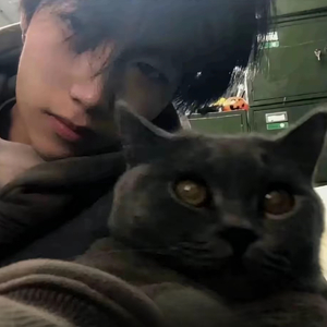 你的关心那么礼貌