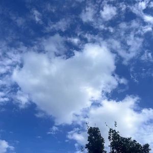 骑着单车去旅行 伴奏