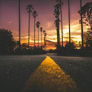 Vision
